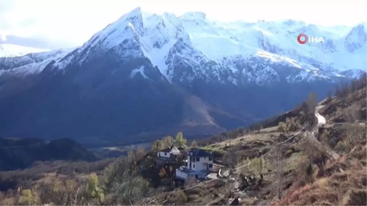 Bölgenin en geniş gövdeli ceviz ağacı için tescil başvurusu yapıldı