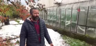 Dolu yağışı portakal bahçelerine ve seralara zarar verdi