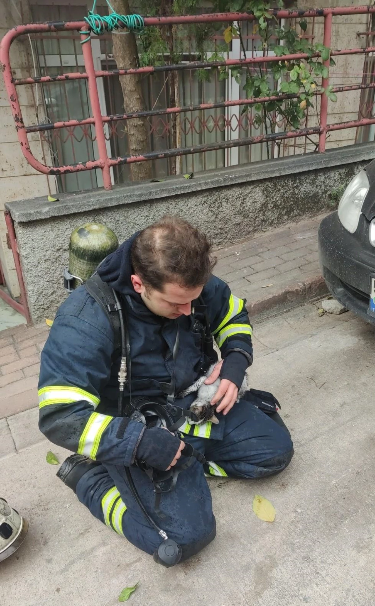 Yangında mahsur kalan kedi itfaiye ekiplerince kurtarıldı
