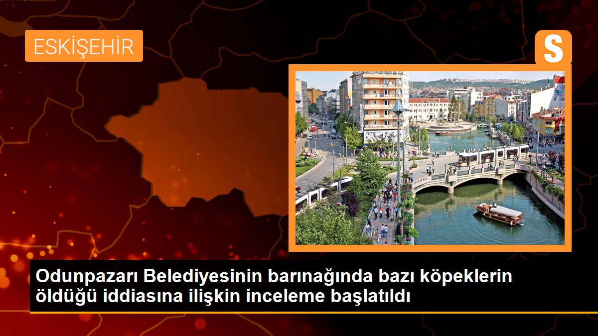 Odunpazarı Belediyesinin barınağında bazı köpeklerin öldüğü iddiasına ilişkin inceleme başlatıldı