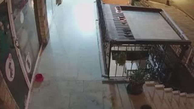 Sokak köpeğini yere yatırarak boğmaya çalışmıştı! Vahşetin yeni görüntüleri ortaya çıktı Sokak köpeğini yere yatırarak boğmaya çalışmıştı! Vahşetin yeni görüntüleri ortaya çıktı