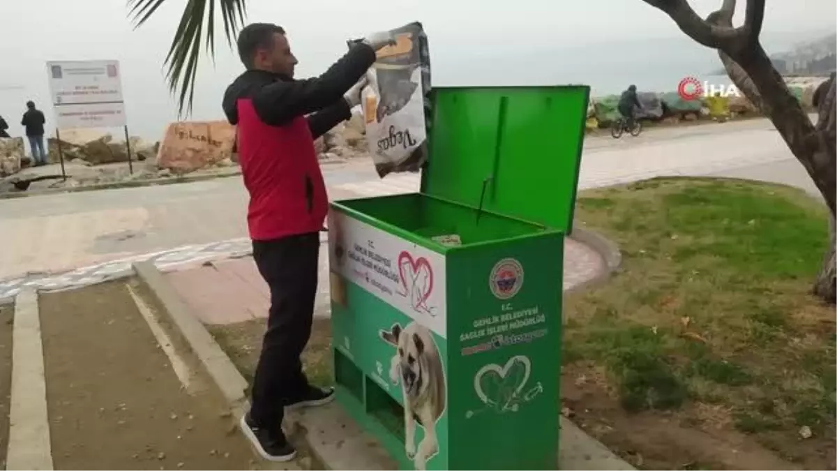 Sokaktaki canlar mamaya kolayca ulaşıyor