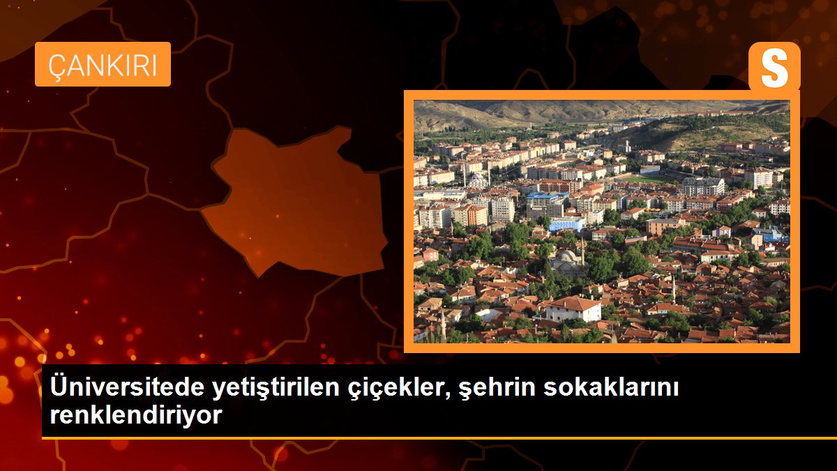 Üniversitede yetiştirilen çiçekler, şehrin sokaklarını renklendiriyor