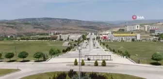 Üniversitede yetiştirilen çiçekler, şehrin sokaklarını renklendiriyor