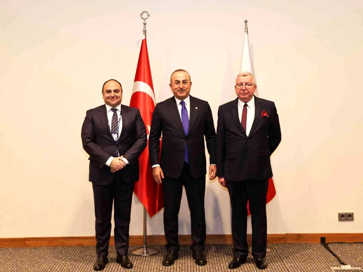 Bakan Çavuşoğlu: "Savaşın etkilerini en çok Polonya ve Türkiye gibi bölge ülkeler hissediyor"