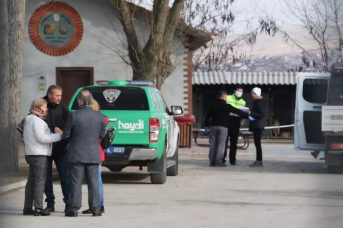 Barınakta köpeklerin öldüğü iddialarıyla ilgili inceleme başlatıldı