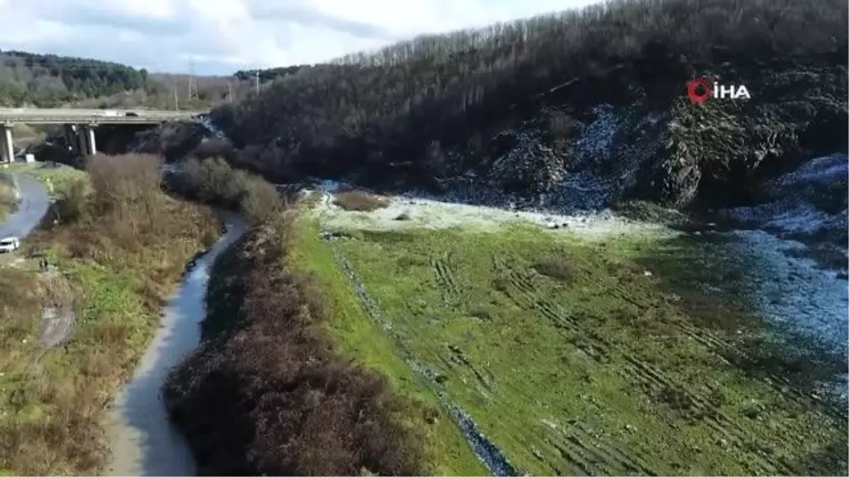 Başıboş hayvanlar için barınak projesi hazır