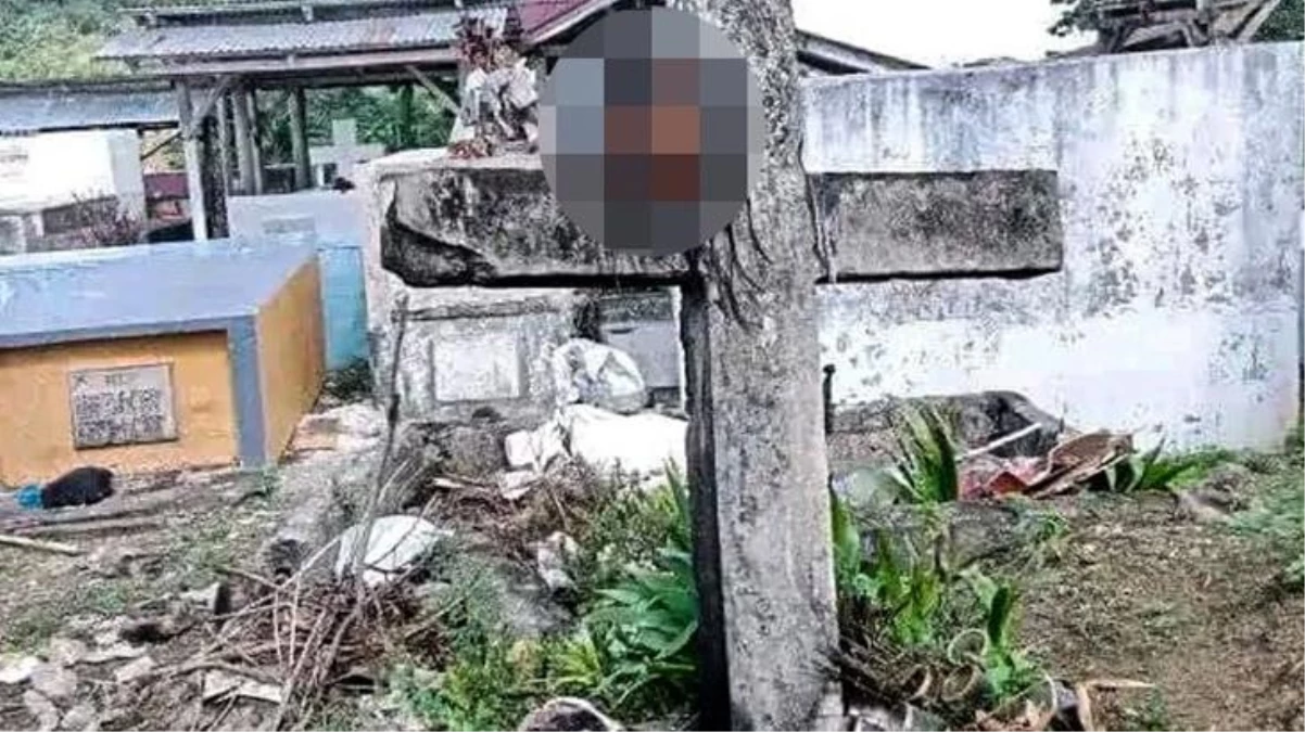 Filipinler\'de kan donduran olay: Yıllarca baktığı bufalonun satışından komisyon alamayan bakıcı, hayvan sahibinin kafasını kesip mezarlığa astı