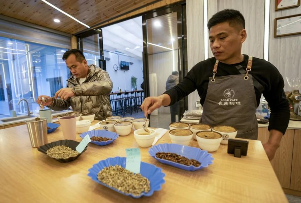 Çin\'in Yunnan Eyaleti Kahve Turizmini Teşvik Ediyor