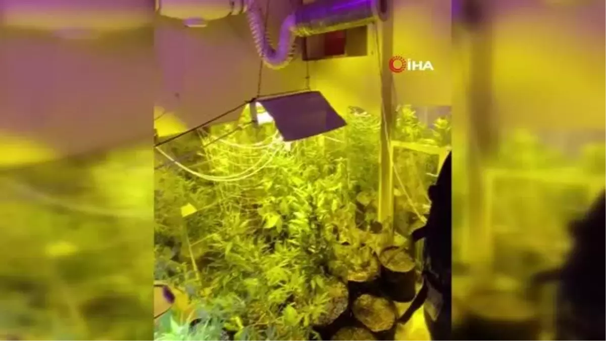 Ev değil, uyuşturucu serası: 2 kilo 200 gram uyuşturucu ele geçirildi