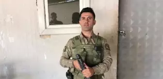 Hakkari'ye şehit ateşi düştü
