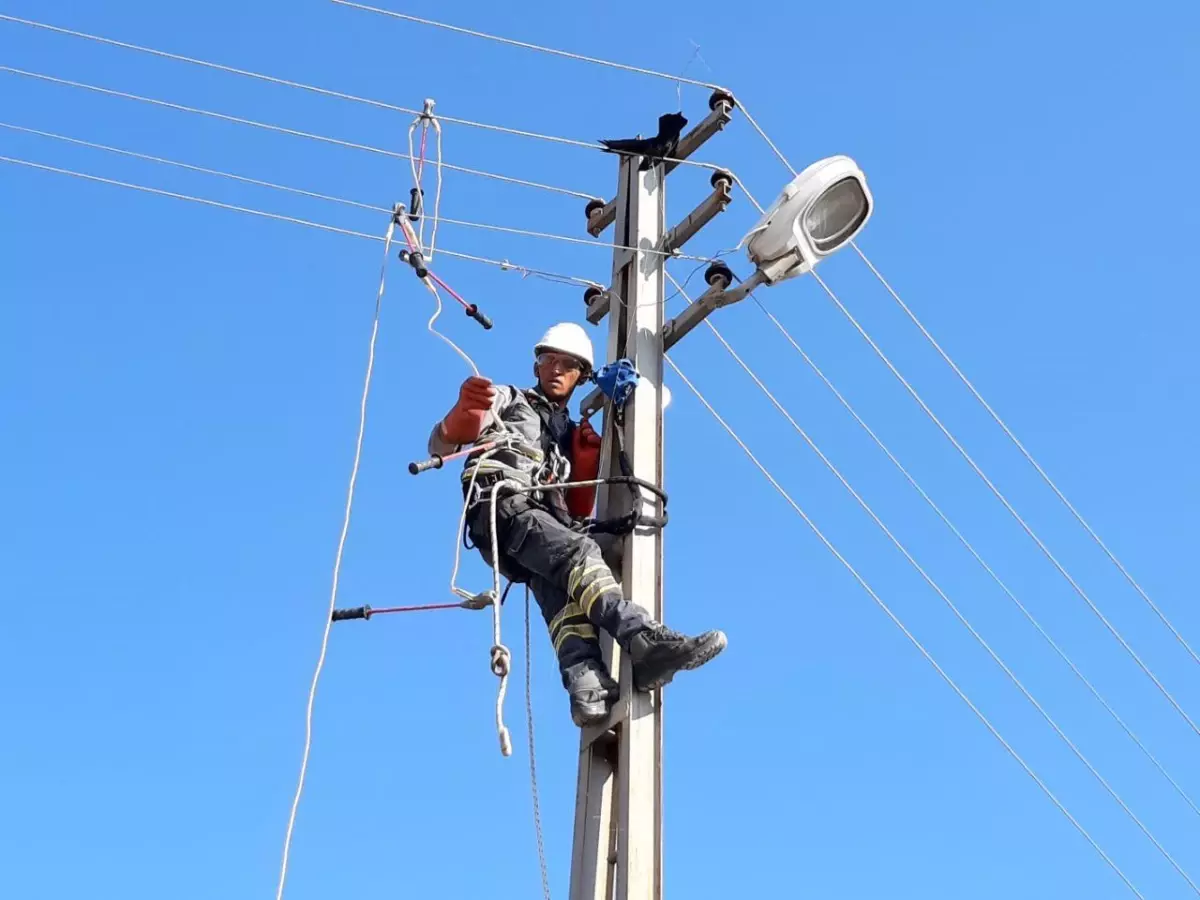 Kırıkkale\'de elektrik direğinde mahsur kalan karga kurtarıldı