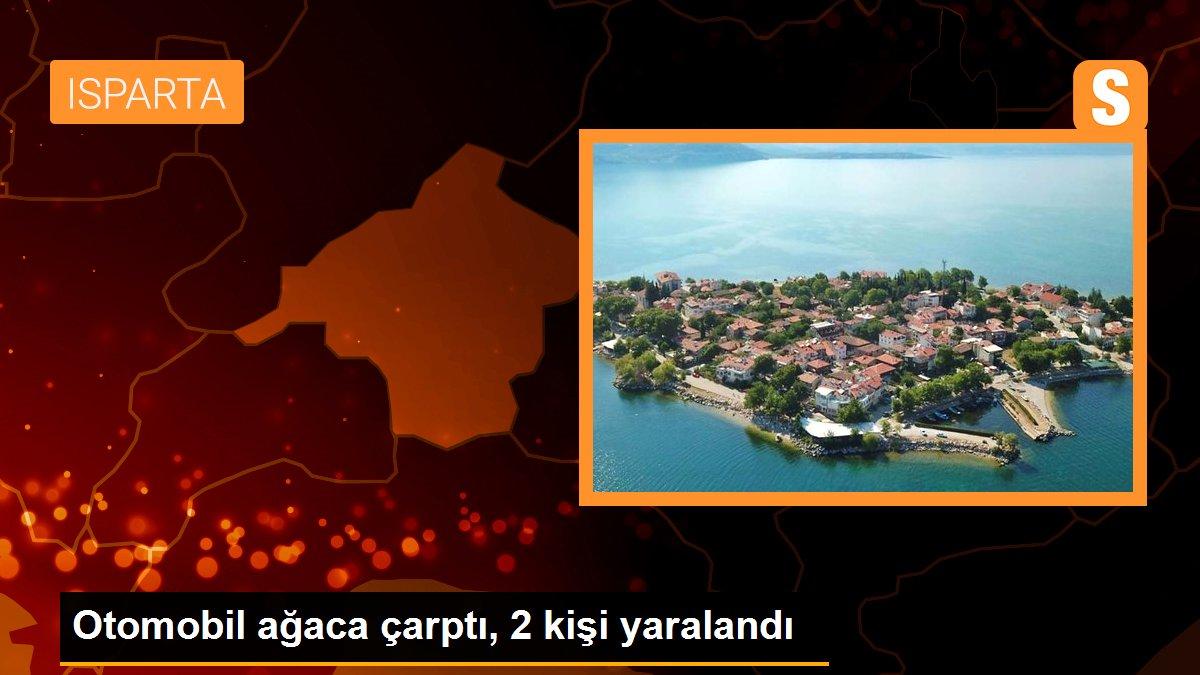 Otomobil ağaca çarptı, 2 kişi yaralandı
