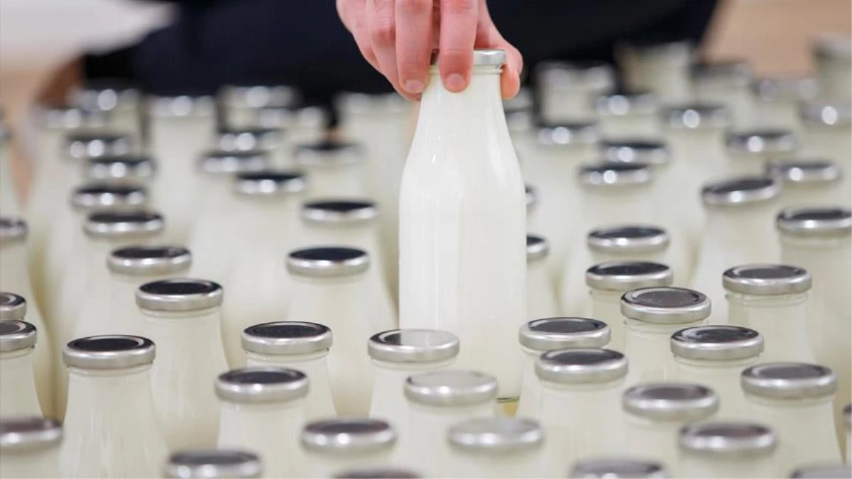 Süt ürünü etiketlerinde "köy", "ev", "geleneksel", "%100" ifadelerinin yazılması yasaklandı