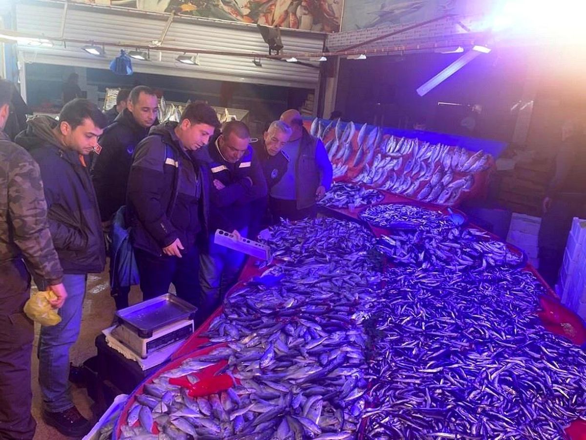 Balık satış yerlerine denetim yapıldı