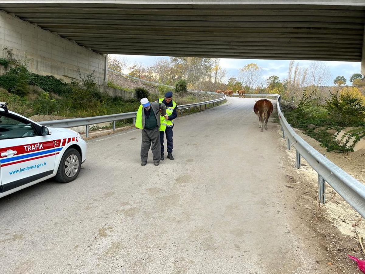 Sinop\'ta "Reflektif Yelek Giy Görünür Ol Projesi"