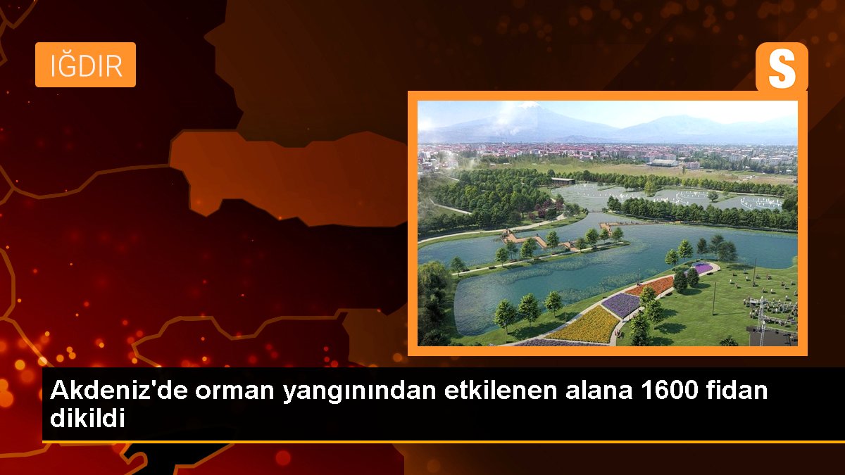 Akdeniz\'de orman yangınından etkilenen alana 1600 fidan dikildi