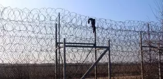 Bulgaristan sınırında donmak üzere bulunan göçmen yoğun bakımda