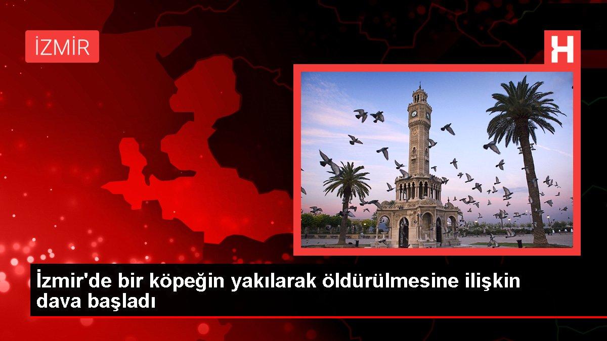 İzmir'de bir köpeğin yakılarak öldürülmesine ilişkin dava başladı