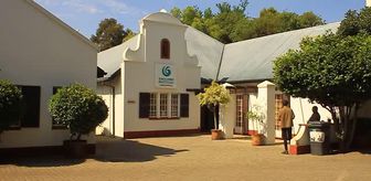 JOHANNESBURG - Güney Afrikalı down sendromlu sanatçı Türkiye'yi resmediyor