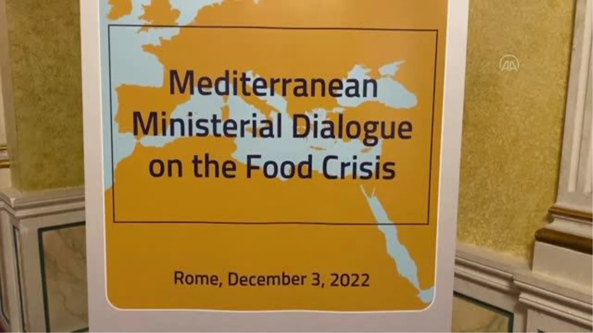 Bakan Krişci, Gıda Krizine İlişkin Akdeniz Bakanlar Diyaloğu Toplantısı\'na katıldı
