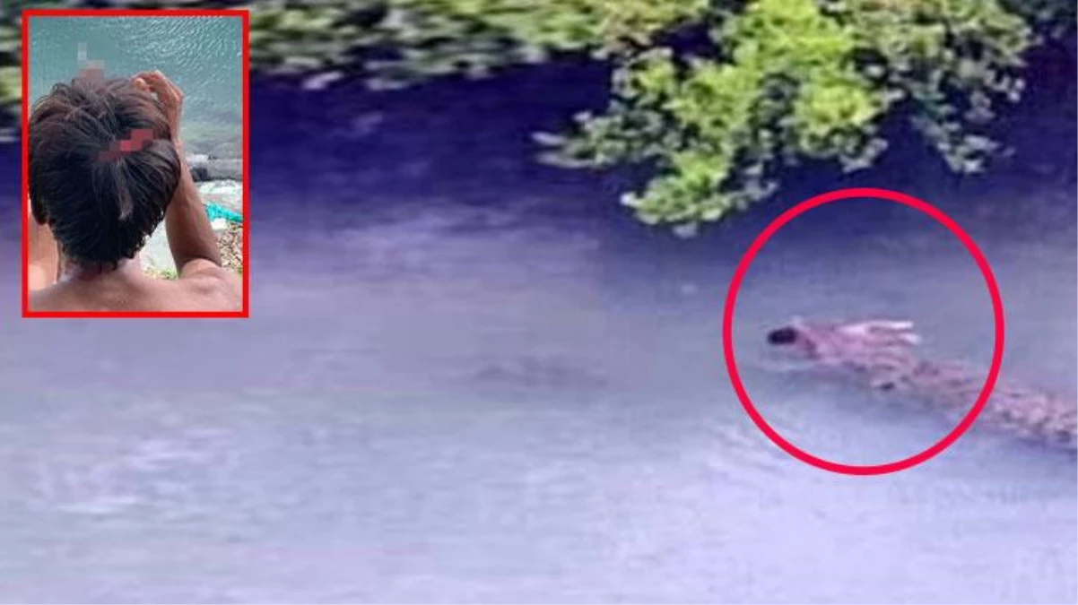 Malezya kıyısında nehirden fırlayan timsah, küçük bebeği babasının gözleri önünde yuttu