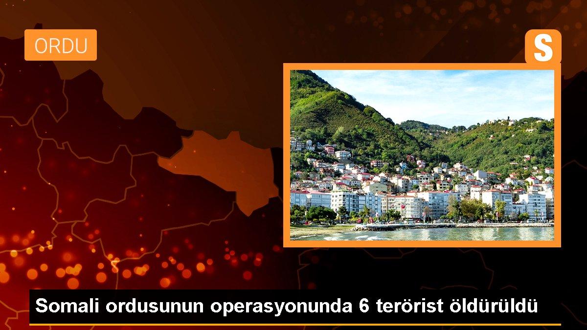 Somali ordusunun operasyonunda 6 terörist öldürüldü