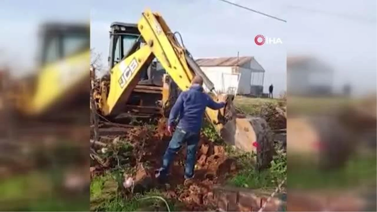 Vatandaş ağaçları kurtarmak istedi, iş makinesi operatörü dinlemedi