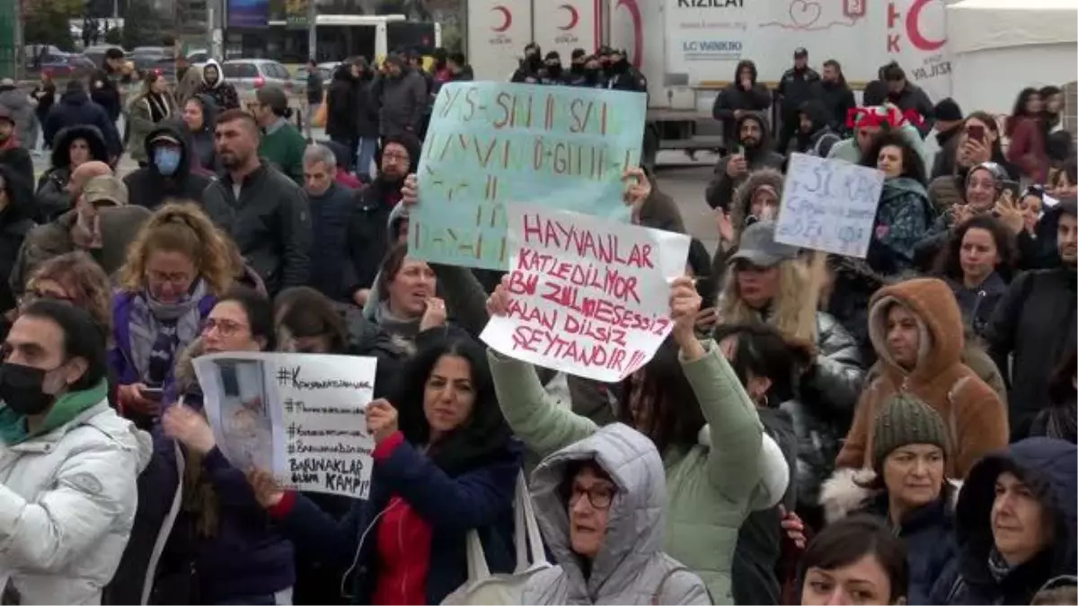 İSTANBUL-KADIKÖY\'DE SOKAK HAYVANLARI İÇİN EYLEM