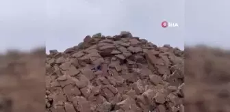 Kayalıklarda mahsur kalan köpeği kurtarma mücadelesi