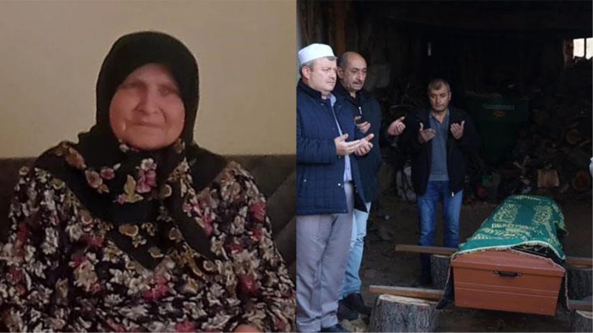 Kütahya\'da cansız bedeni bulunan 68 yaşındaki kadının ayı saldırısı sonucunda öldüğü düşünülüyor