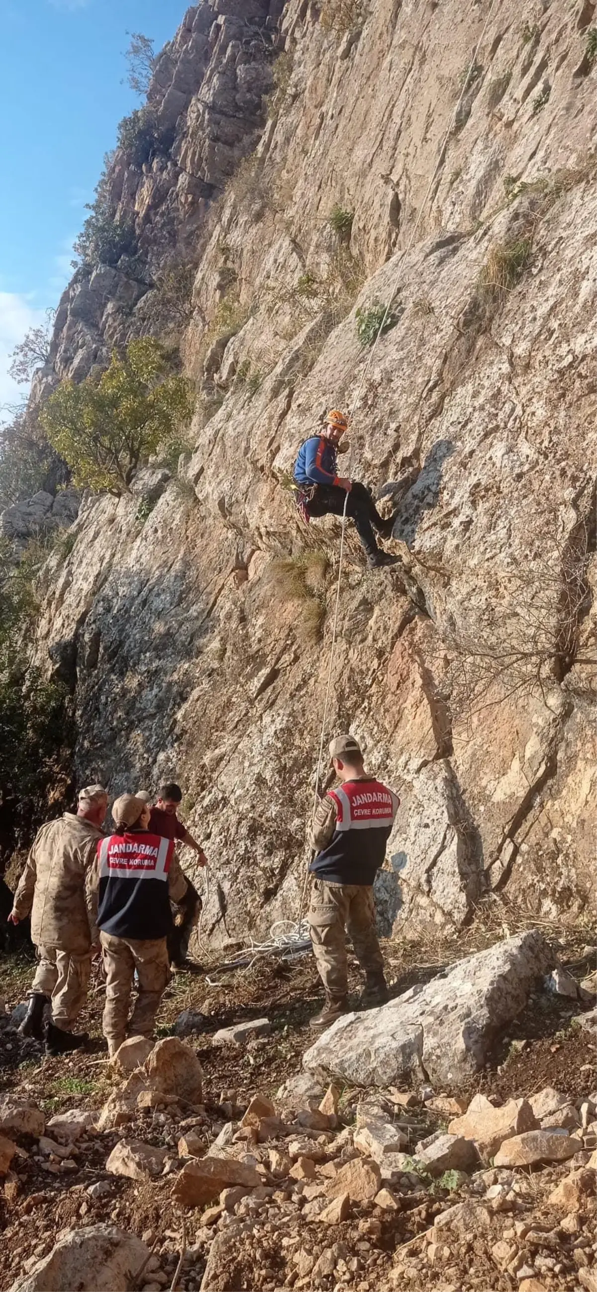 Siirt\'te kayalıklarda mahsur kalan keçiler kurtarıldı