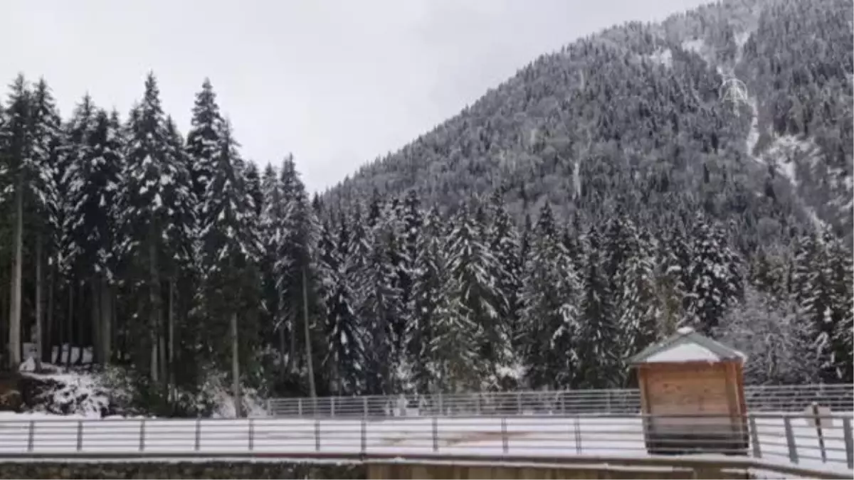 Yüksek kesimlere kar yağdı