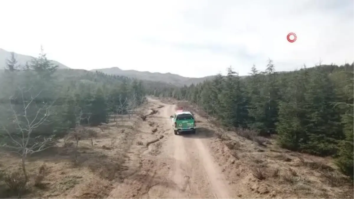 Aksaray\'da jandarma \'Anadolu Yaban Koyunları\'nı dron ile takip ediyor