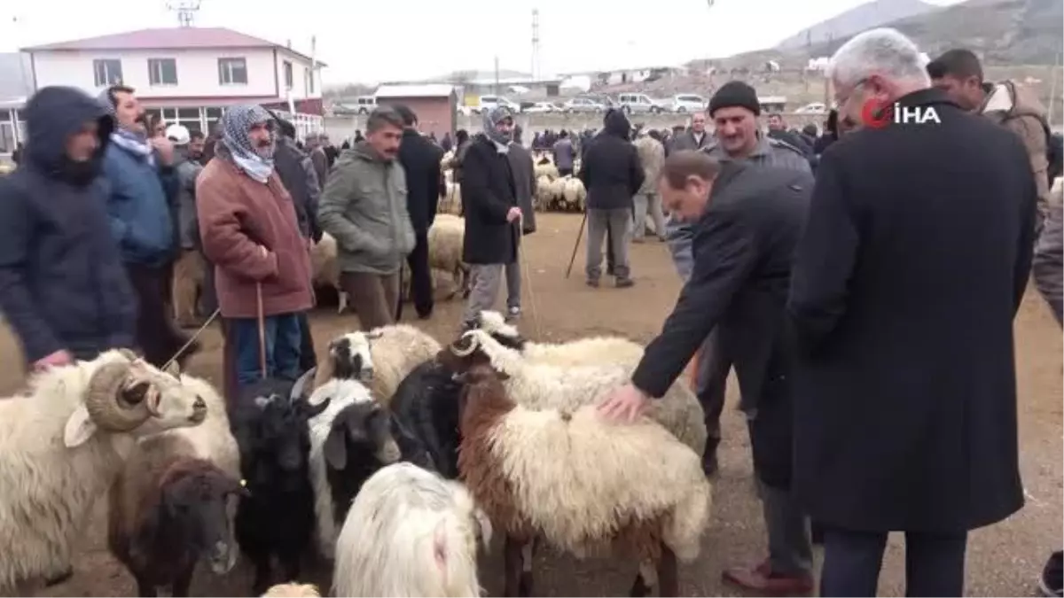 Başkan Kandaşoğlu\'ndan canlı hayvan borsası müjdesi