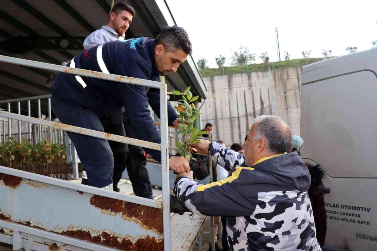 Çiftçilere "süper meyve" fidanı dağıtıldı