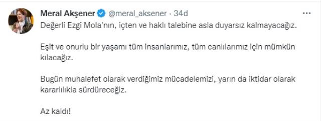 Ezgi Mola'dan milletvekillerine çağrı yaptı! Akşener'den yanıt gecikmedi