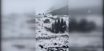 Fotoğraf sanatçısı kar yağışı altında derede yüzdü