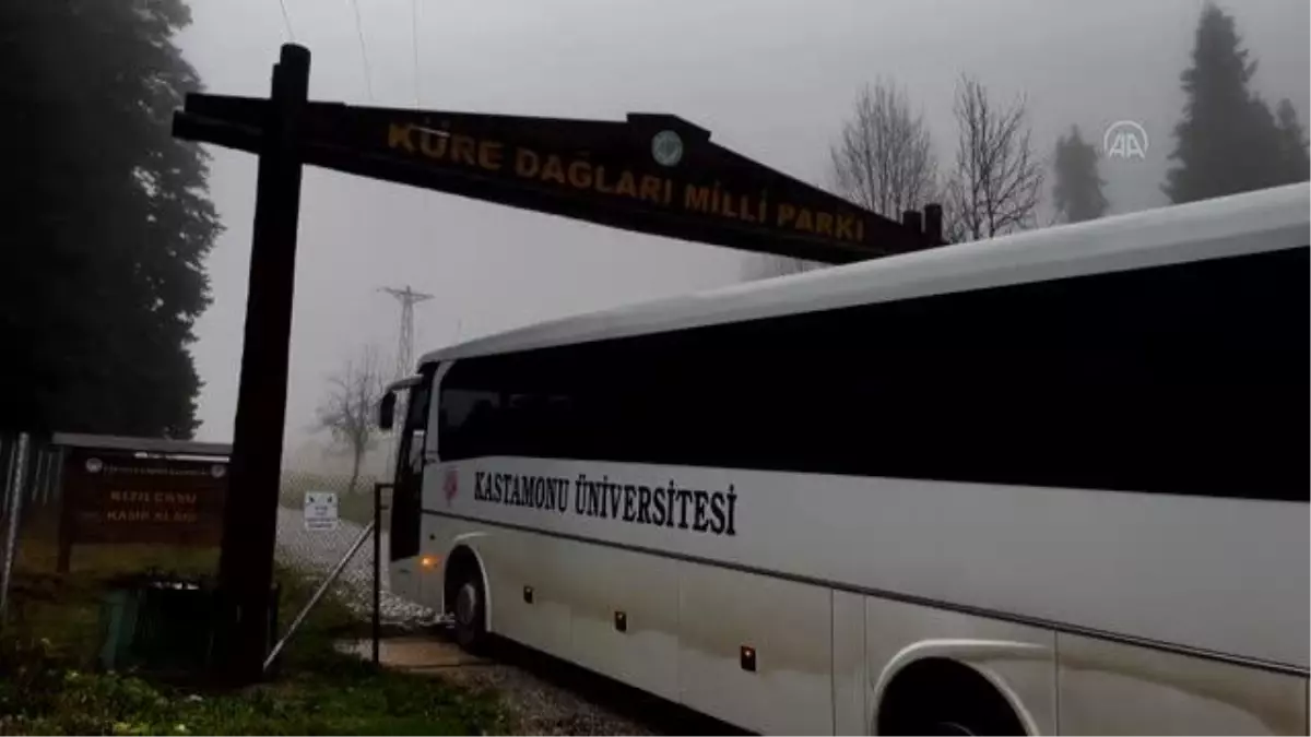 Kastamonu Üniversitesi öğrencileri doğada kamp yaptı