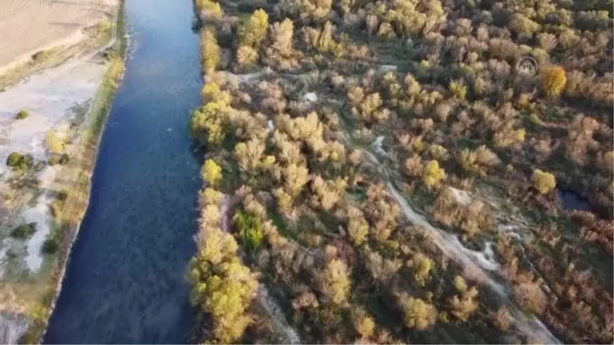 (DRON) - Kastabala Kuş Cenneti, sarı ve mavinin tonlarına büründü