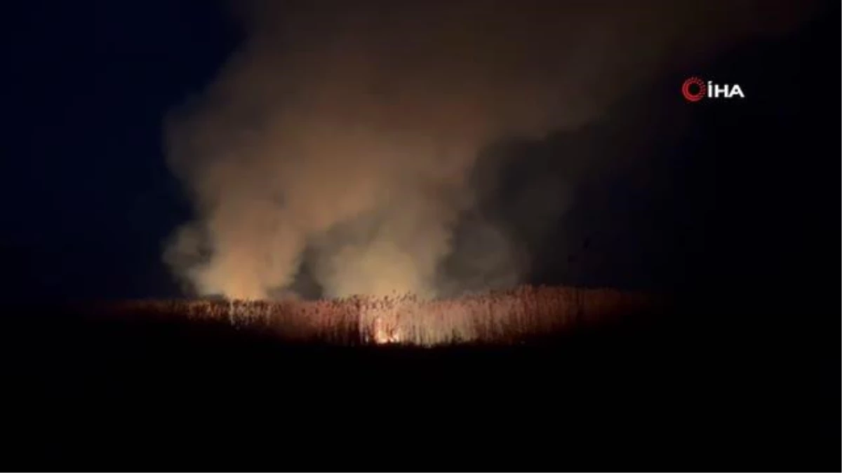 Eber Gölü\'nde yangın: Son bir ay içerisinde 7. yangın