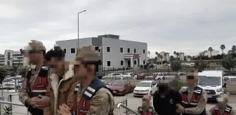 Hatay'da tarladan 2 ton zeytin çalan 3 şüpheli tutuklandı