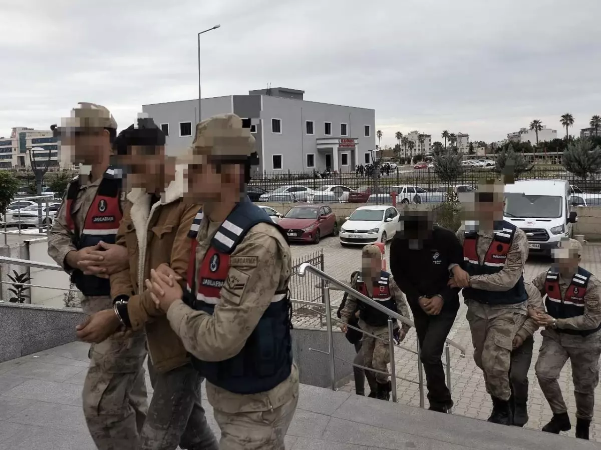 Hatay\'da tarladan 2 ton zeytin çalan 3 şüpheli tutuklandı