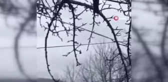 Kosova'nın kuzeyinde patlama ve silah sesleriKosova'da seçim görevlilerine ve polise ses bombalı saldırı