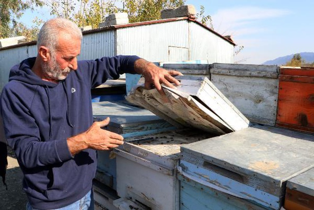 Kimyasal atıklar nehir suyunu zehre çevirdi! Binlerce balık ve arı öldü, bölgede kötü kokudan nefes alınmıyor Kimyasal atıklar nehir suyunu zehre çevirdi! Binlerce balık ve arı öldü, bölgede kötü kokudan nefes alınmıyor