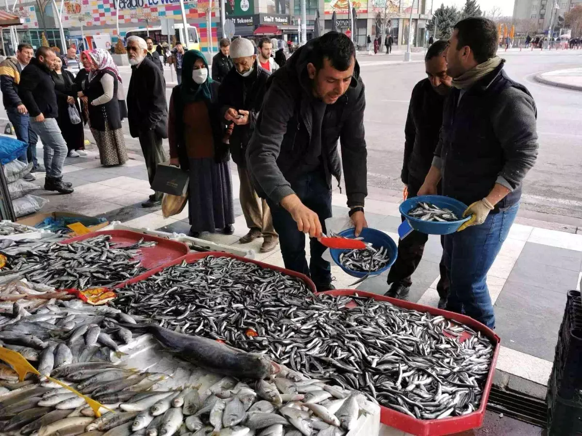 Tezgahlardaki balık bolluğu esnaf ve vatandaşın yüzünü güldürdü