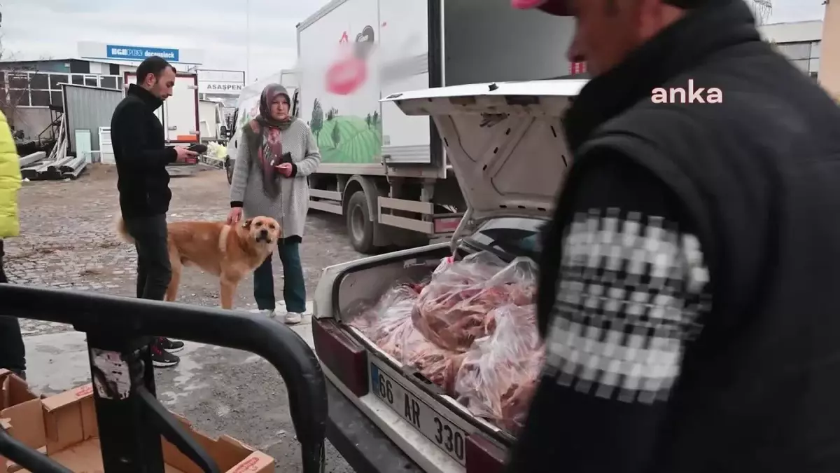 Yozgat\'ta Sokak Hayvanlarını Besleyip Bakımını Yapan 2 Hayvansever Destek Bekliyor