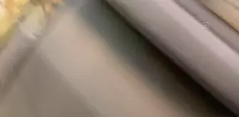 AA muhabirinin sığınaktan çıkışı sırasında patlayan bomba, paniğe neden oldu