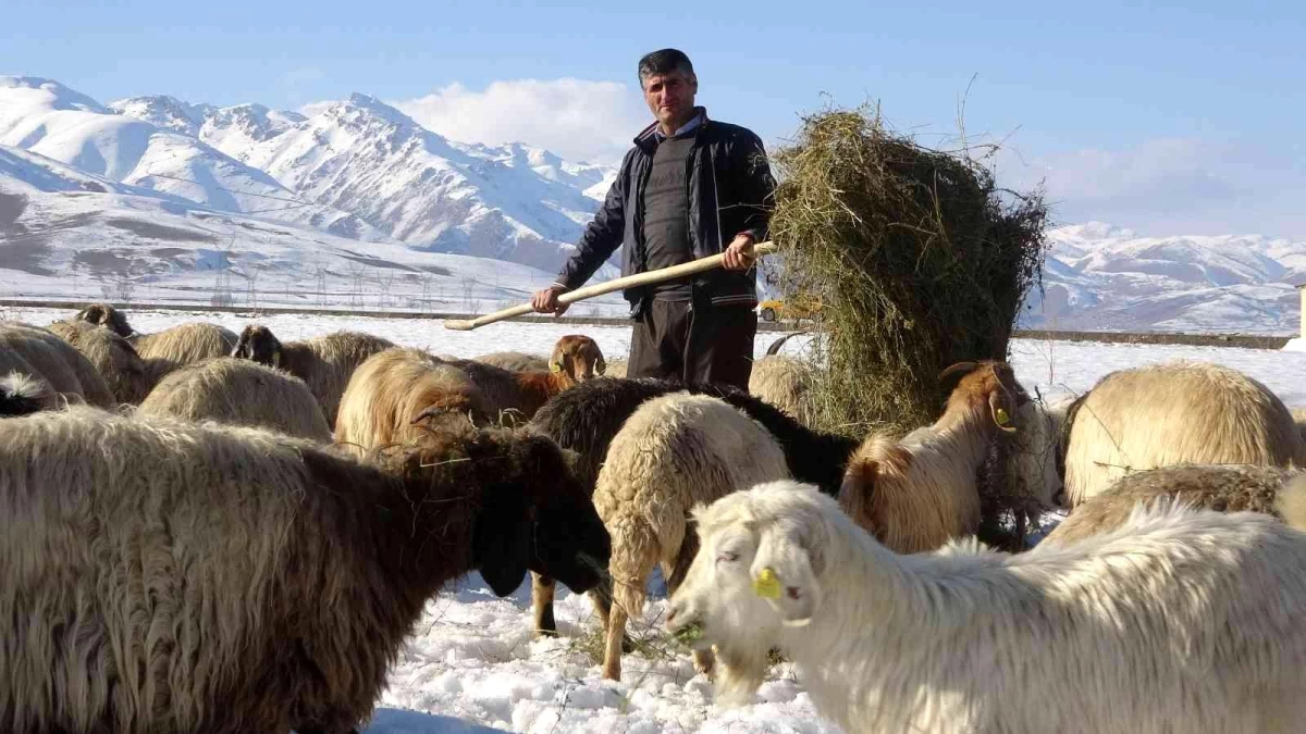 Besicilerin 6 ay süren kış mesaisi başladı