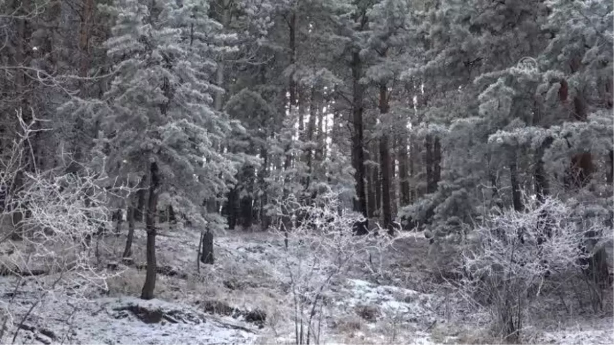 Kar yağışı ve soğuk hava etkili oldu